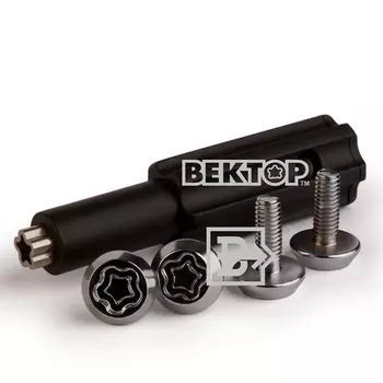 Вектор болт 6х1,00 L16 плоский на гос.номер [c121616-4]