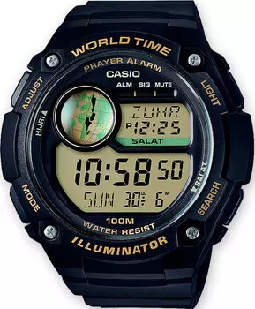 Casio CPA-100-9A