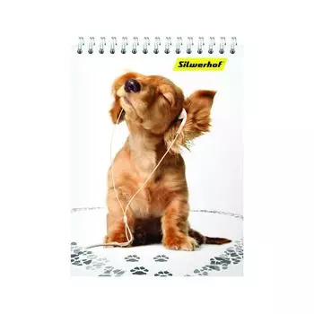 Блокнот Silwerhof