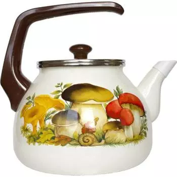 Чайник на плиту Interos