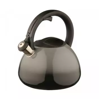 Чайник на плиту Катунь