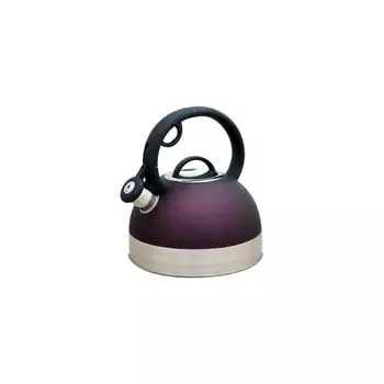 Чайник на плиту Катунь