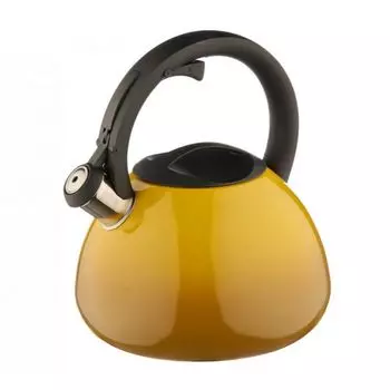 Чайник на плиту Катунь