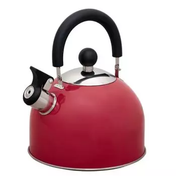 Чайник на плиту Катунь