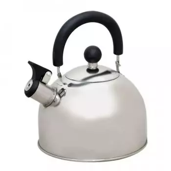 Чайник на плиту Катунь