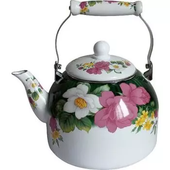 Чайник на плиту Mercury