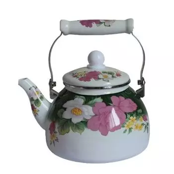 Чайник на плиту Mercury