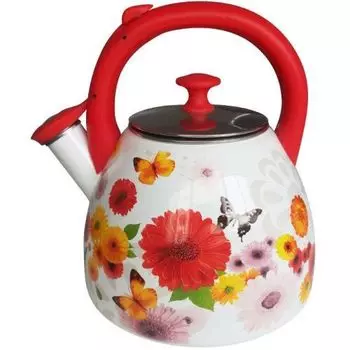 Чайник на плиту METALLONI