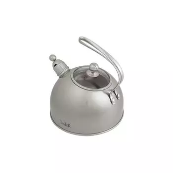Чайник на плиту TalleR
