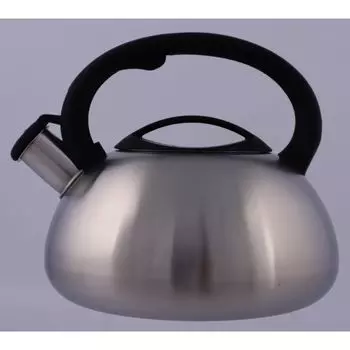 Чайник на плиту TimA