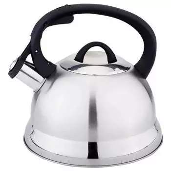 Чайник на плиту WEBBER