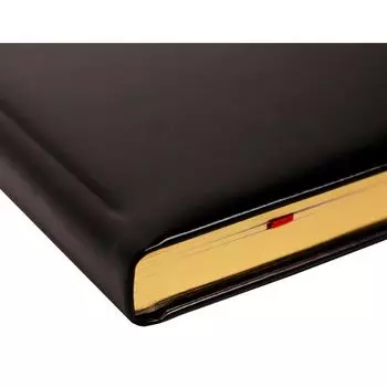 Ежедневник Letts