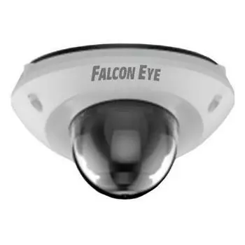 Камера видеонаблюдения Falcon Eye