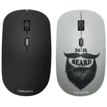 Мышь беспроводная Canyon