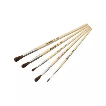 Набор кистей Silwerhof