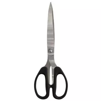 Ножницы Silwerhof