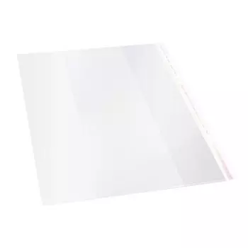 Обложка Silwerhof