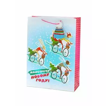 Пакет бумажный Феникс-Презент