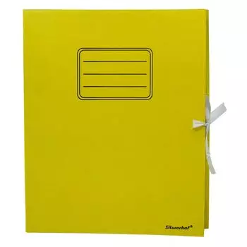 Папка архивная Silwerhof