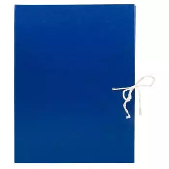 Папка архивная Silwerhof