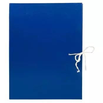 Папка архивная Silwerhof