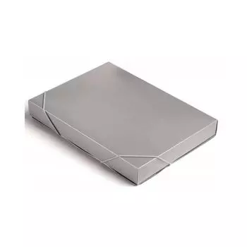 Папка-короб Бюрократ