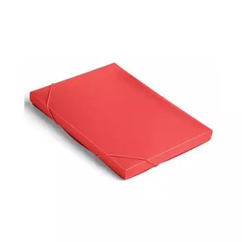 Папка-короб Бюрократ