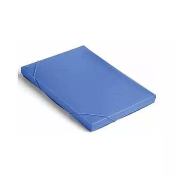 Папка-короб Бюрократ