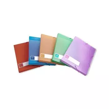 Папка-короб Бюрократ