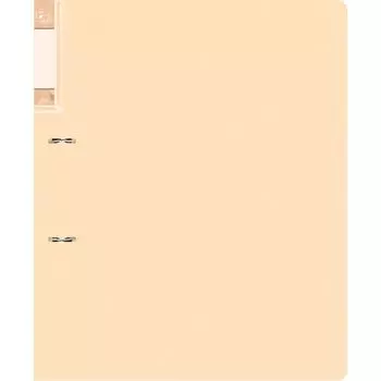 Папка на кольцах Бюрократ