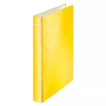 Папка на кольцах Leitz