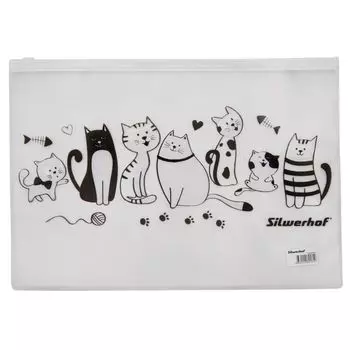 Папка на молнии Silwerhof