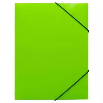 Папка на резинке Бюрократ