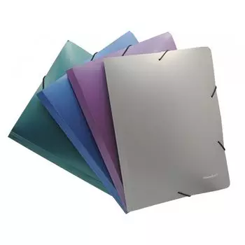 Папка на резинке Silwerhof