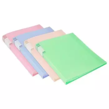 Папка с вкладышами Бюрократ