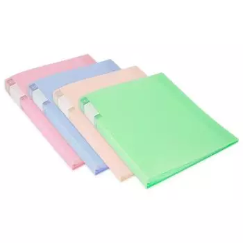 Папка с вкладышами Бюрократ