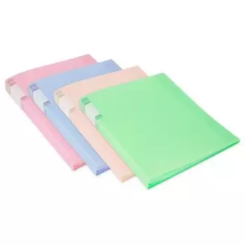 Папка с вкладышами Бюрократ