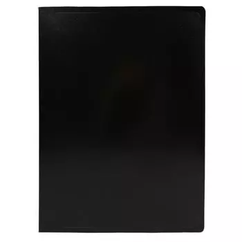 Папка-скоросшиватель Buro