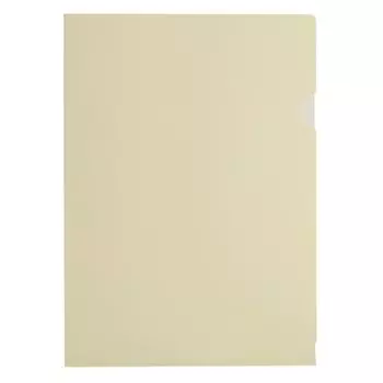 Папка-уголок Бюрократ