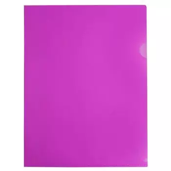 Папка-уголок Бюрократ