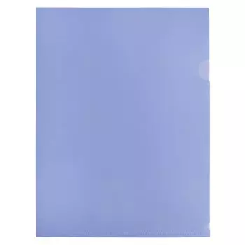 Папка-уголок Бюрократ