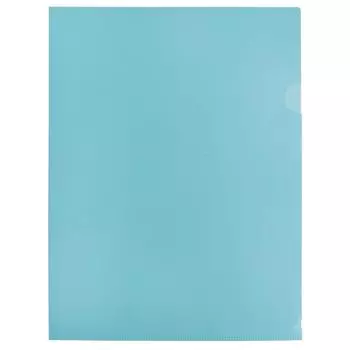 Папка-уголок Бюрократ