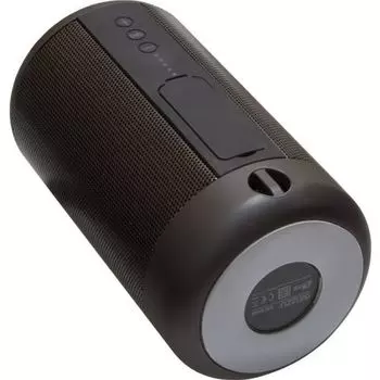 Портативная колонка GINZZU