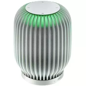 Портативная колонка Sber