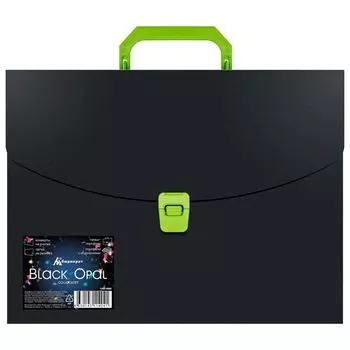 Портфель Бюрократ