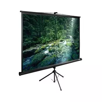 Проекционный экран Cactus