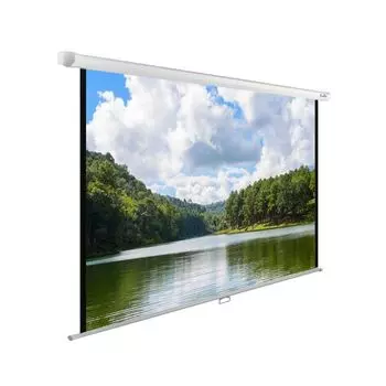 Проекционный экран Cactus