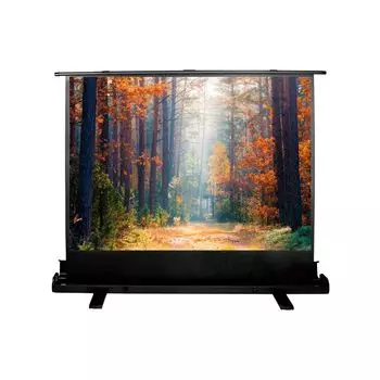 Проекционный экран Cactus