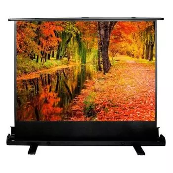 Проекционный экран Cactus