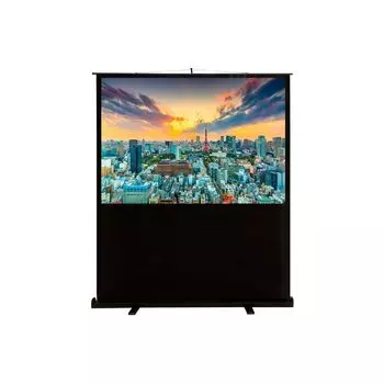 Проекционный экран Cactus